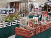 gartentage_flora-mirabilis