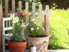 gartendekoration