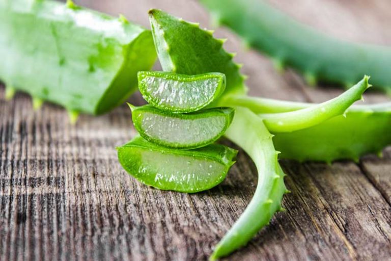Aloe-Vera-wirkung