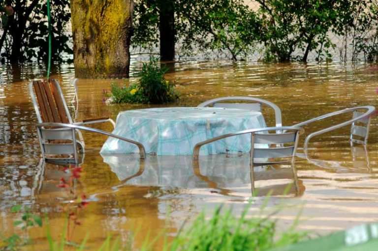 Elementarversicherung-garten