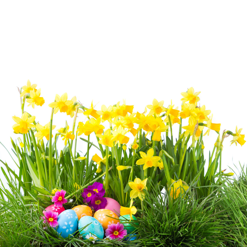 Osterdekorationsideen für den Garten und Garten Blog