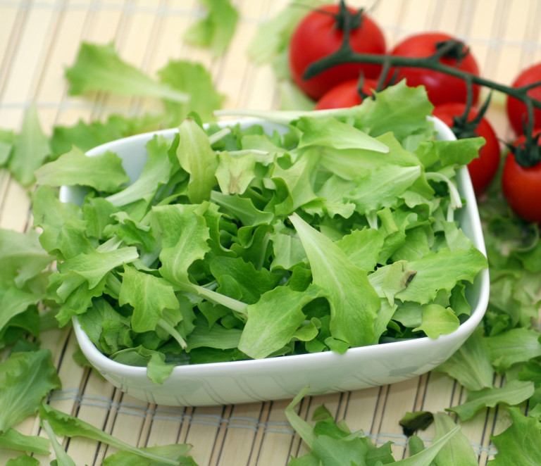 Pflücksalat