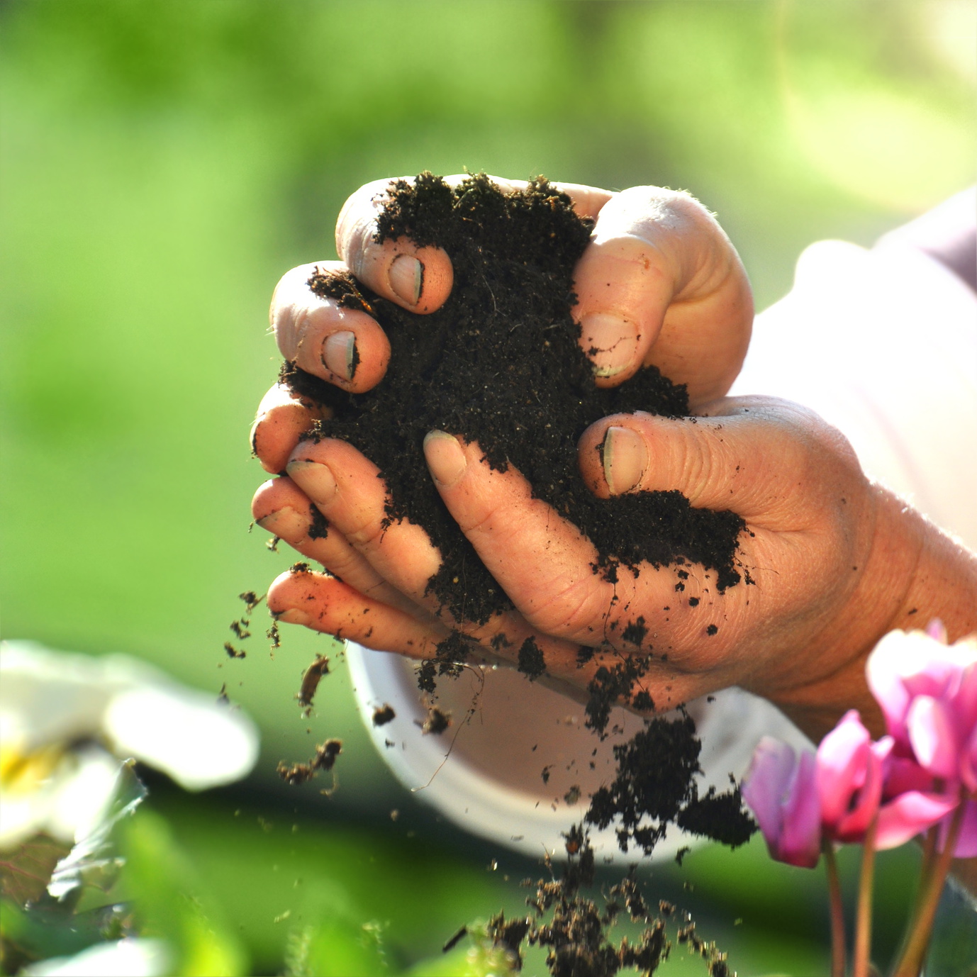 Was ist der Unterschied zwischen Blumenerde und Pflanzenerde Garten Blog