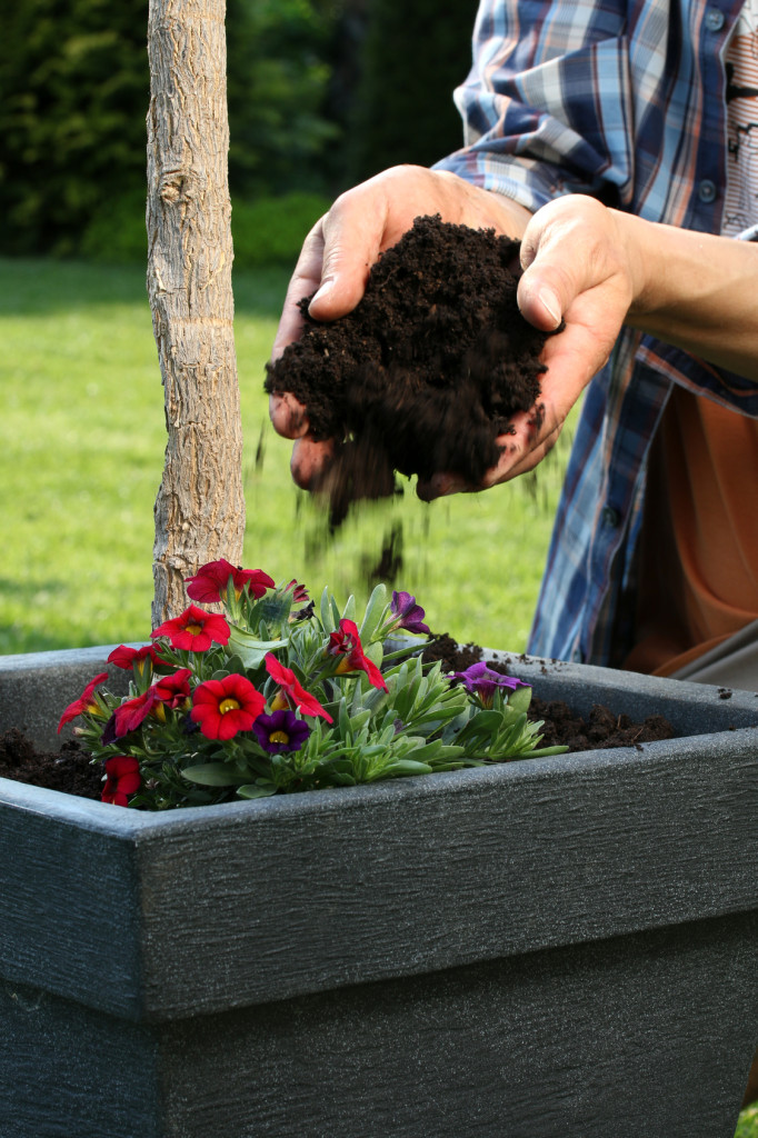 Was ist der Unterschied zwischen Blumenerde und Pflanzenerde Garten Blog