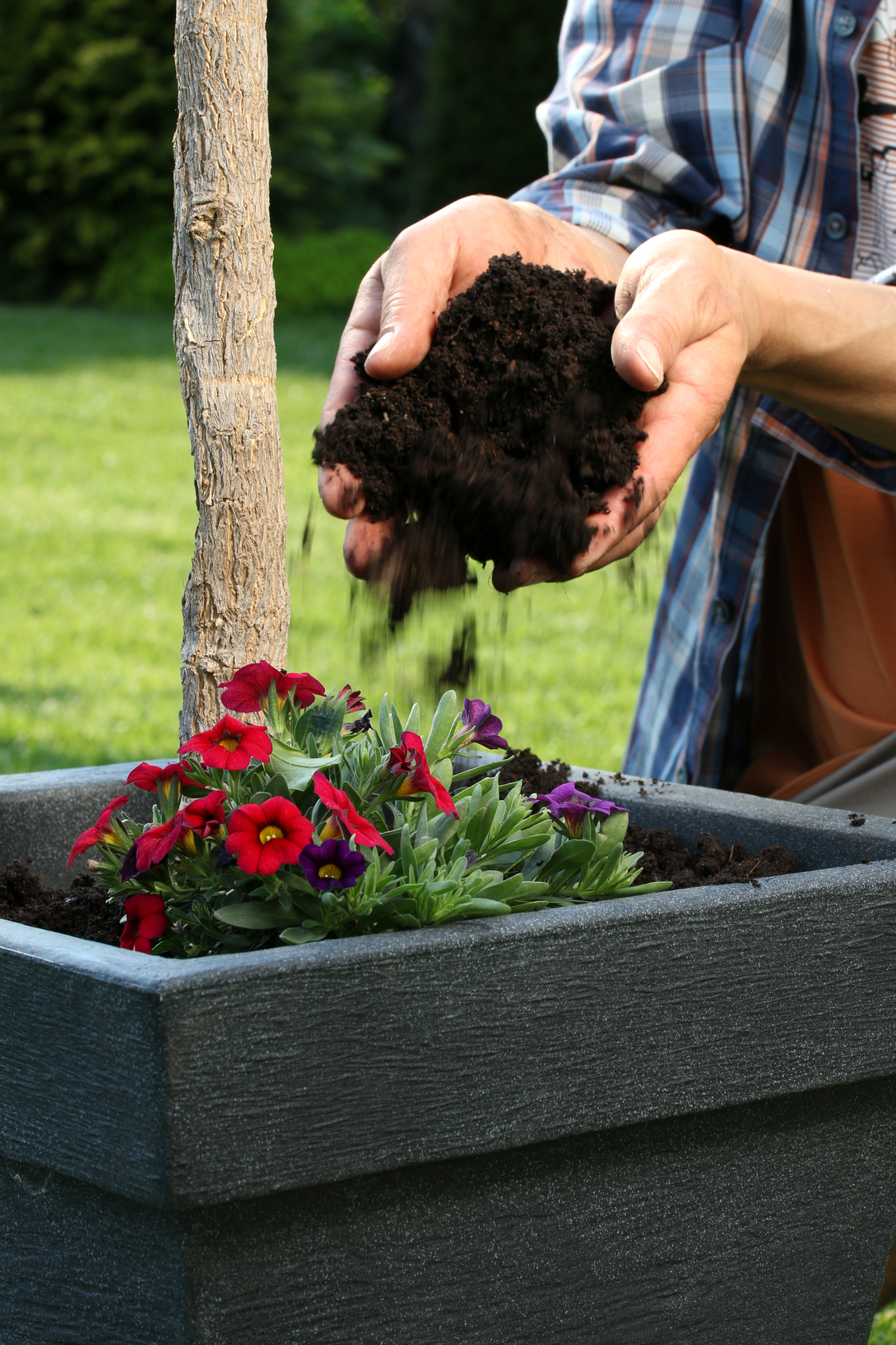 Was ist der Unterschied zwischen Blumenerde und Pflanzenerde Garten Blog