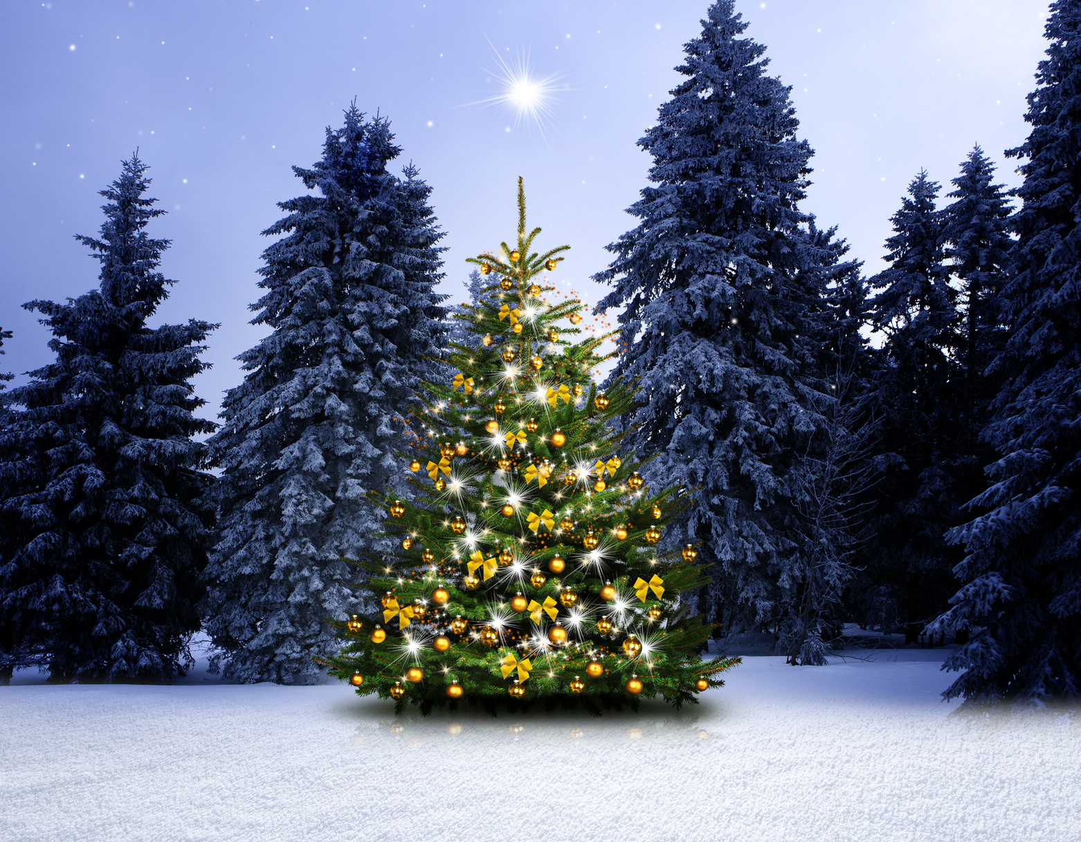 Weihnachtsgruß