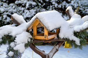 Vogelhaus im winterlichen Garten