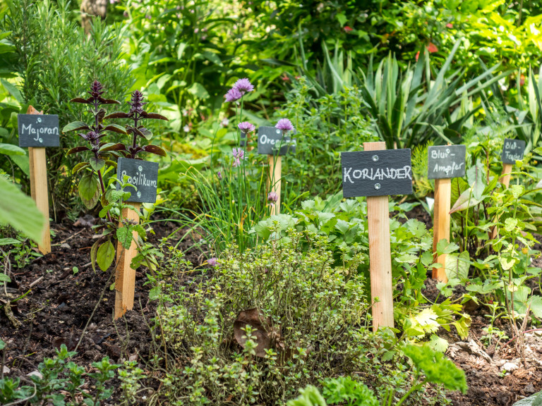 Kräutergarten