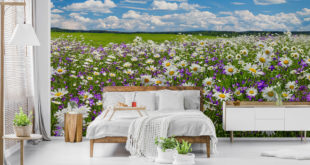 Fototapete mit Blumenwiese und Wolken im Schlafzimmer