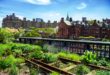 Urban-Gardening