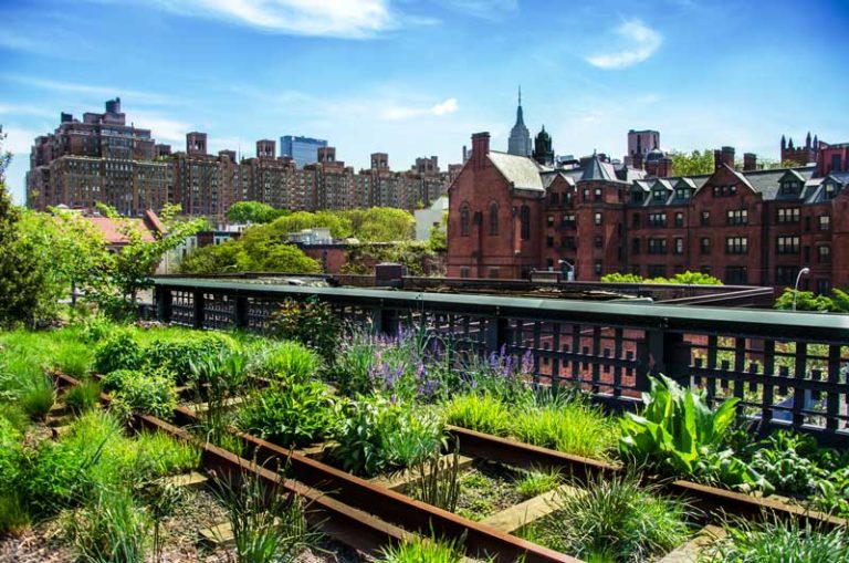 Urban-Gardening