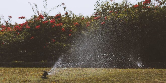 Automatische Gartenbewässerung: Welche Systeme eignen sich für Zuhause?