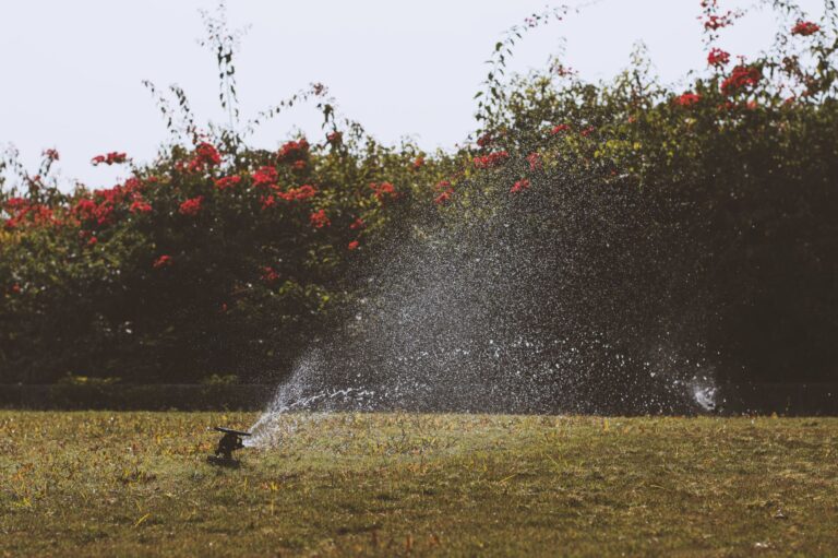Automatische Gartenbewässerung: Welche Systeme eignen sich für Zuhause?