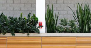 Bewässerungscomputer: Garten automatisch und zuverlässig bewässern