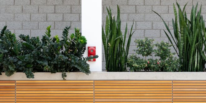 Bewässerungscomputer: Garten automatisch und zuverlässig bewässern