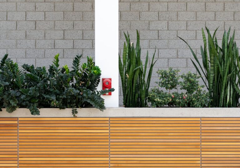 Bewässerungscomputer: Garten automatisch und zuverlässig bewässern