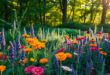 blumen die schnecken nicht mögen