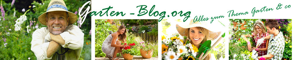 Garten Blog