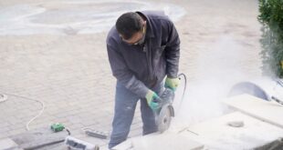 Elektrischer Fugenreiniger: Moos und Unkraut aus Pflasterfugen entfernen