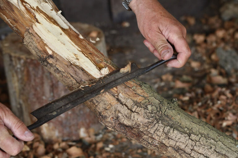 entrindung-baum