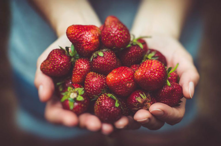 erdbeeren