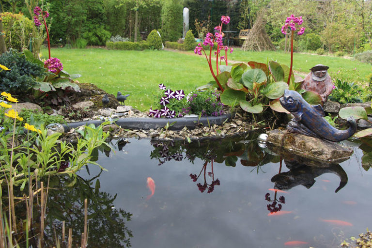 Fertigteich anlegen einfacher als gedacht Garten Blog