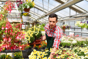 Gärtner als Beruf? Warum denn nicht? Garten Blog