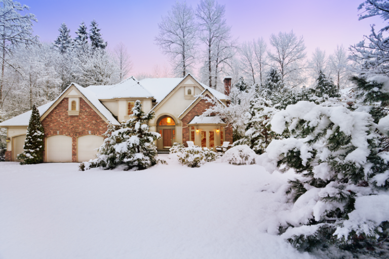 garten-winter