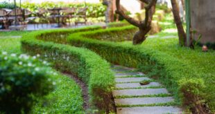 Gartengestaltung: Ideen, Planung & Umsetzung für jeden Garten