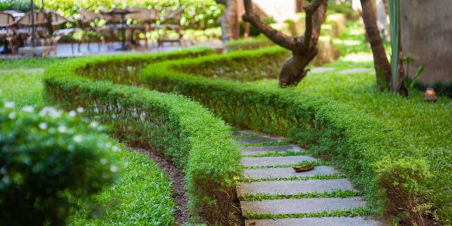 Gartengestaltung: Ideen, Planung & Umsetzung für jeden Garten