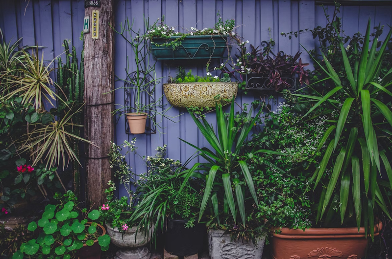 Ein buntes Gartenhaus kann Ihrem Garten mehr Atmosphäre verleihen