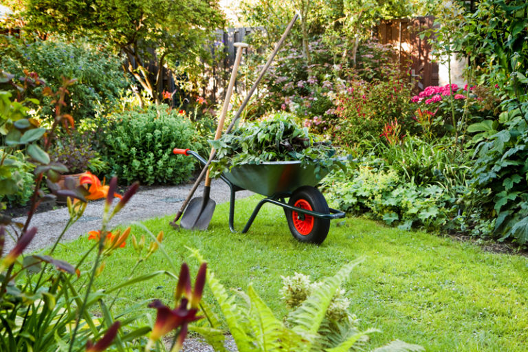 gartenpflege