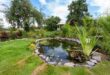 gartenteich-statt-aquarium