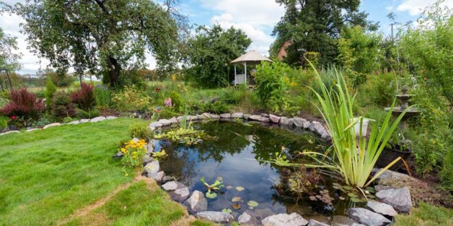 gartenteich-statt-aquarium