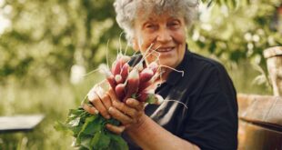 Gartenwerkzeug für Senioren: Rückenschonende Helfer für die Gartenarbeit