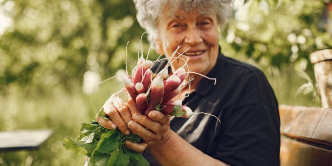 Gartenwerkzeug für Senioren: Rückenschonende Helfer für die Gartenarbeit
