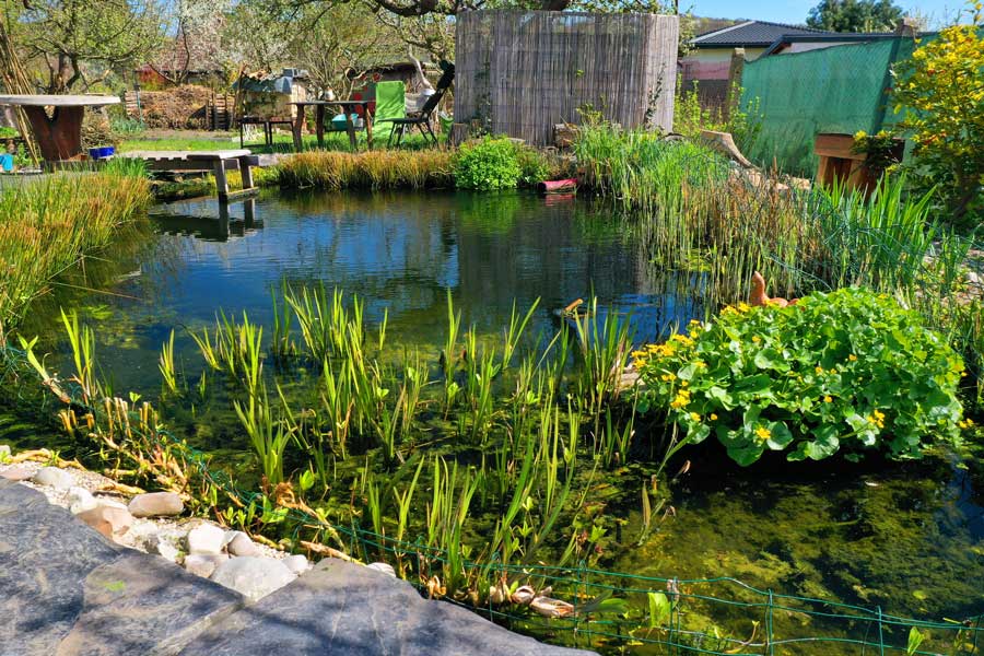 grosser-gartenteich