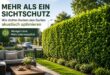 hecken-als-schallschutz