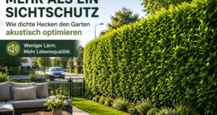 hecken-als-schallschutz