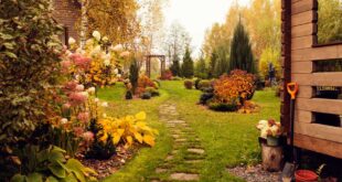 herbstgarten