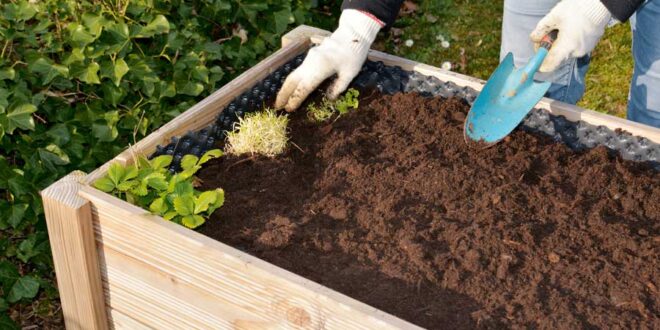 hochbeet-anlegen