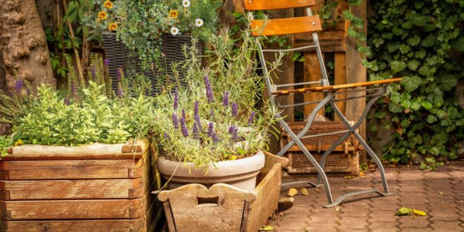 Hochbeet für den Balkon: Kompakte Lösungen für Gemüse und Kräuter