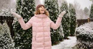 Immergrüne Sträucher winterhart: Die 12 besten Arten für jeden Garten