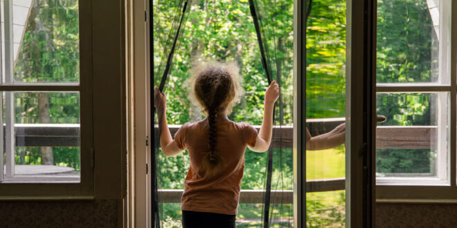 insektenschutz-gartenhaus