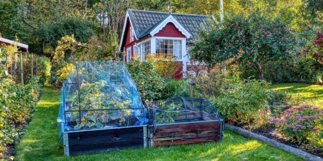 Mini-Gewächshaus: Pflanzen auf Balkon und Terrasse geschützt vorziehen