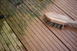 Wie entferne ich Moos von der Terrasse? Garten Blog