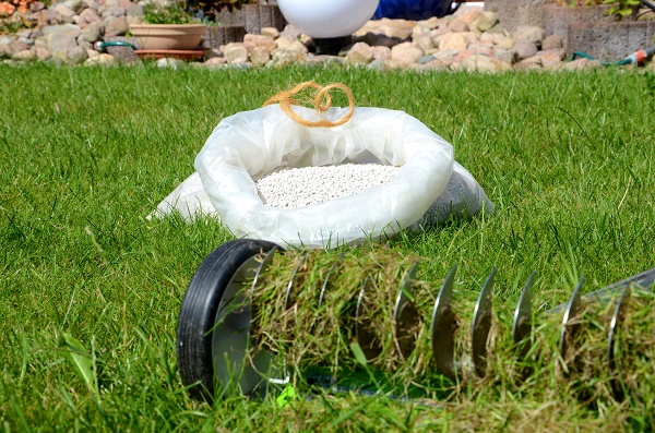 Wie können Sie Moos dauerhaft entfernen im Rasen und auf der Terrasse