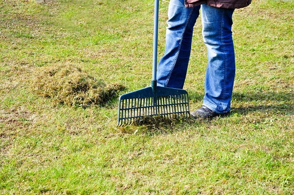 Wie können Sie Moos dauerhaft entfernen im Rasen und auf der Terrasse