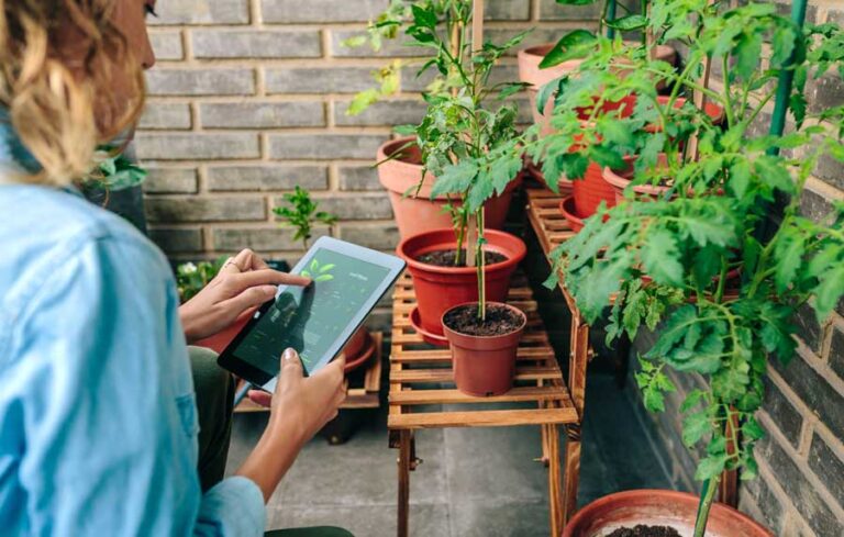 onlineshop-garten