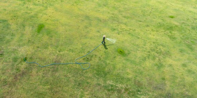 Perlschlauch im Garten: So funktioniert die sparsame Bewässerung von Beeten
